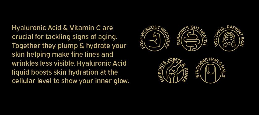 GOLD EDITION Liquid Collagen – Apple On-the-Go Box (24 Packets)-FULL BODY IMPACT